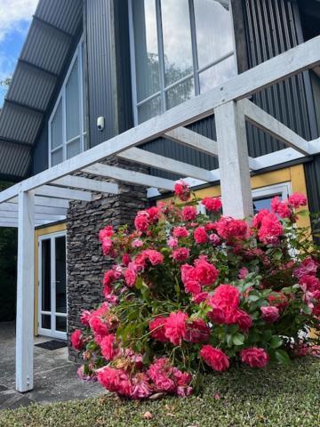 Gondwana Chalet Perfect For All Seasons Ohakune Eksteriør billede